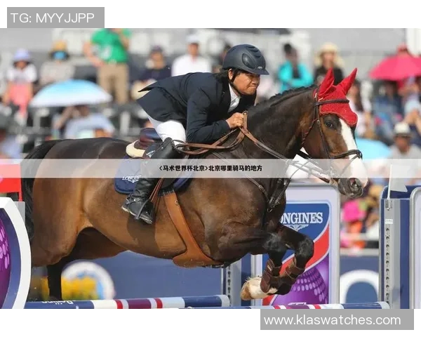 奥运会项目中裁判主观评分公正性舆情分析模型